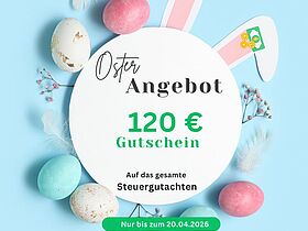 Gutachtenservice für Steuerberater